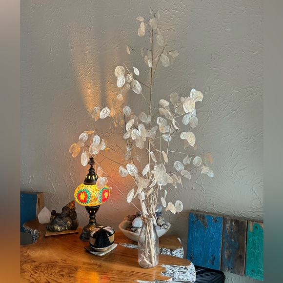 🪷64 Money ‘Silver Dollar’ Luck Lunaria Plant Seeds, Non-GMO Heirloom🪷 - Picture 5 of 14